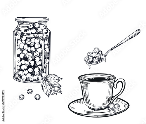 Tea drinking with viburnum jam, a cup of tea with a spoonful of jam, viburnum leaves. All objects are hand-drawn in ink. The illustration is suitable for printing on packaging, textiles.