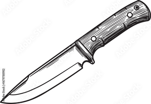 Detailed woodcut illustration of a hunting knife on a clean whit