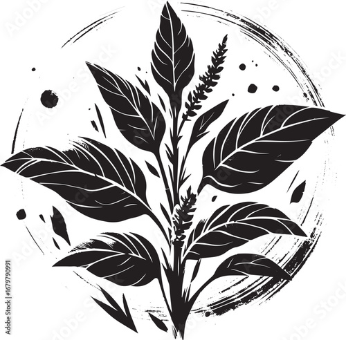 Elegant Sumi-e Illustration of Amaranth Greens with Brushstroke