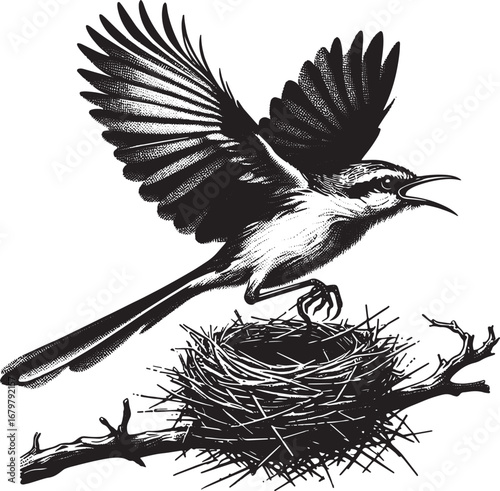 Detailed Black and White Illustration of a Bird Taking Flight from its Nest with Open Wings