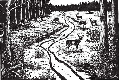 Serene woodland scene with deer, presented in a detailed woodcut