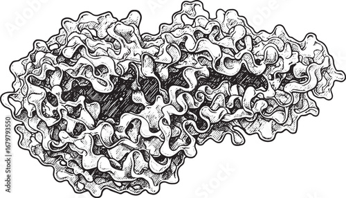 Intricate Oxidative Stabilizerin Illustration Depicting Molecula
