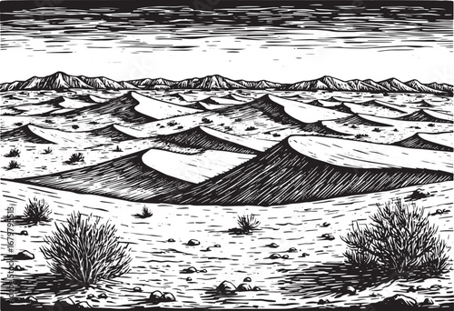 Monochromatic Woodcut Style Desert Landscape Illustration with D