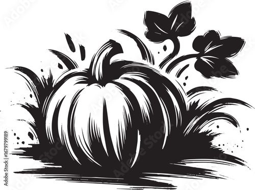 Monochrome Sumi-e Illustration Depicting a Squash Patch with Dis