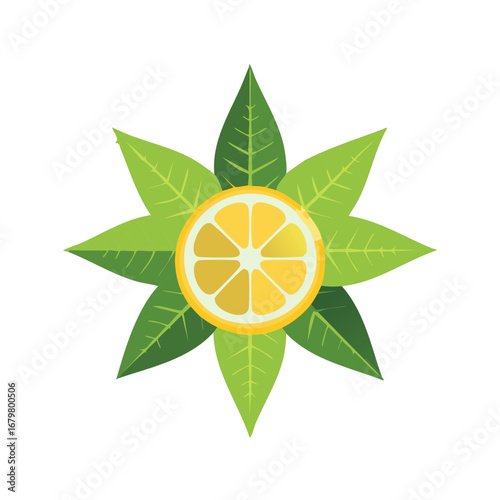 Sliced Lemon with Green Leaves on White, Fresh Citrus Still Life Flat Lay