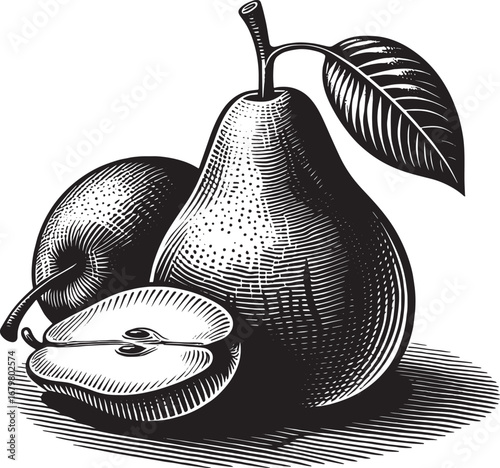 Detailed black and white illustration of pears with a cut half, fruit concept for design
