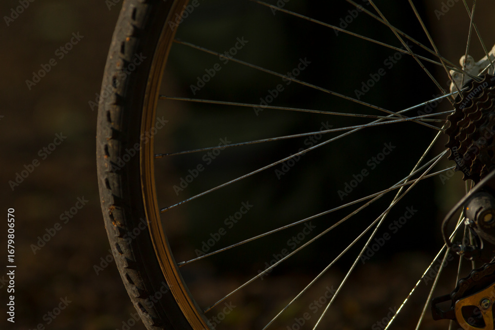 Fototapeta premium A detailed close-up of a bicycle wheel showcasing its tire, spokes, and cassette against a blurred outdoor background, perfect for cycling enthusiasts.