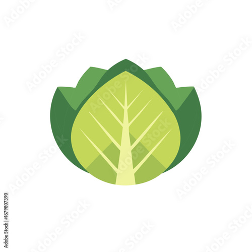 Stylized green cabbage or lettuce with internal veins graphic, healthy vegetarian food icon