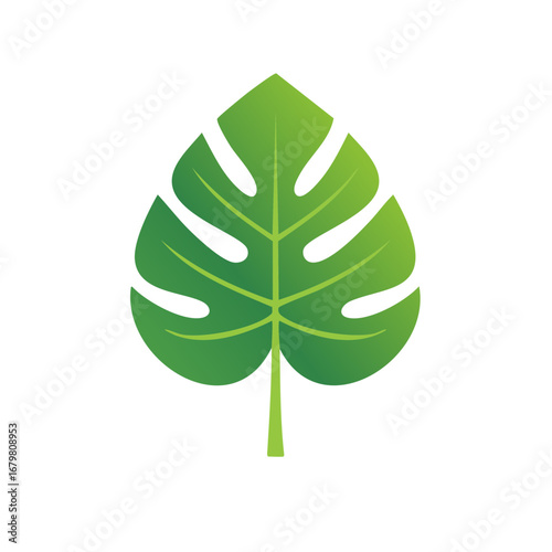 Vibrant Green Monstera Leaf with Natural Splitting Patterns and Gradient Shading
