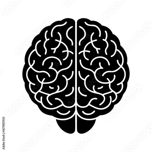 Human Brain Vector Illustration
