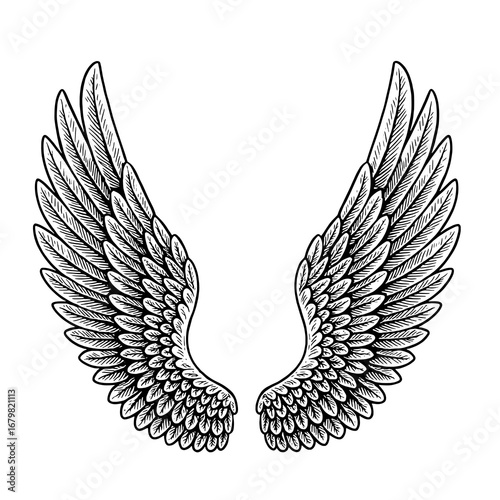 Angel Wings Black and White Vector Illustration