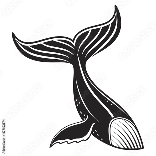 Whale tail