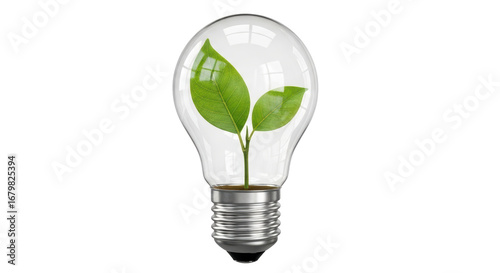 Isolated Lightbulb with Plant Inside