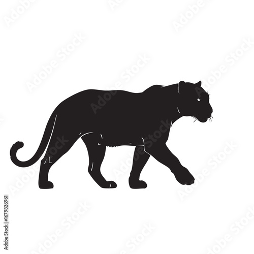Black silhouette of a panther walking gracefully on a white background jaguar leopard