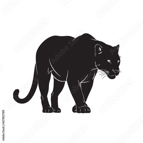 Black Silhouette of a Panther Walking with Detailed Features on a White Background jaguar leopard