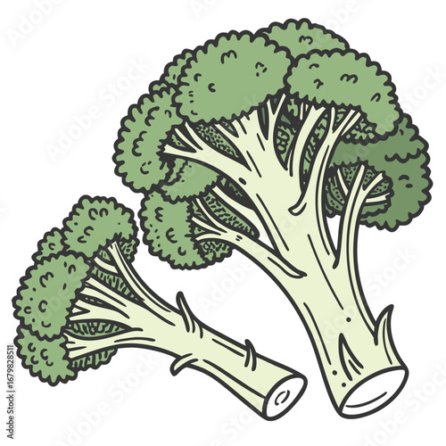 Fresh Broccoli: A vibrant illustration showcasing two fresh broccoli florets, ideal for promoting healthy eating habits, fresh produce concepts, and culinary themes.