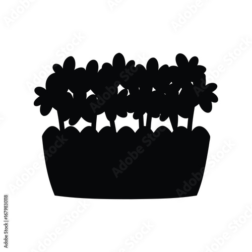 Silhouette of flowers growing in a square planter filled with plants