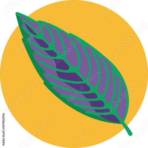 Glossy rubber plant leaf with vibrant green tones.