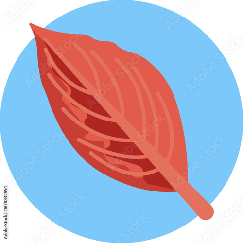 Minimalist depiction of a Pleiostachya pruinosa leaf with natural curves and subtle veins.