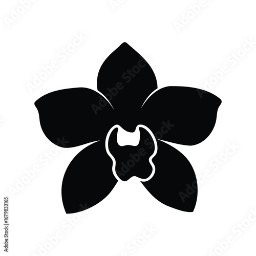 Black and white minimalist illustration of an orchid flower blossom design