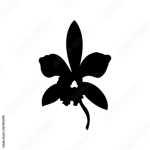 Striking Black Orchid Silhouette Against White Backdrop, Elegant Floral Design Element