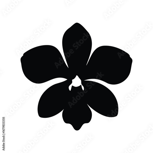Elegant Silhouette of a Single Orchid Flower on a White Background