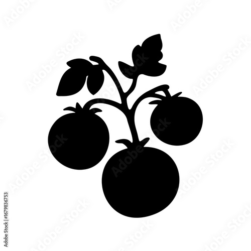 Silhouette image of a tomato plant with three tomatoes and leaves