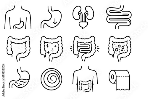 Digestion and intestine thin line icon set. Vector symbols for digestive system, gut health, stomach, colon, and anatomy. Medical illustration for bloating, gas, pain, and probiotics.