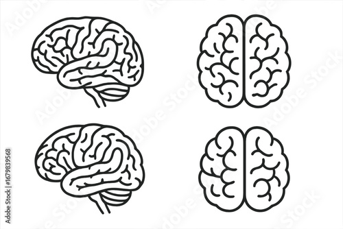 Brain icon set. Human organ anatomy concept. Symbol of thinking, intelligence, psychology, and mind. Simple line art for neuroscience, medical, or health design. Editable stroke vector.