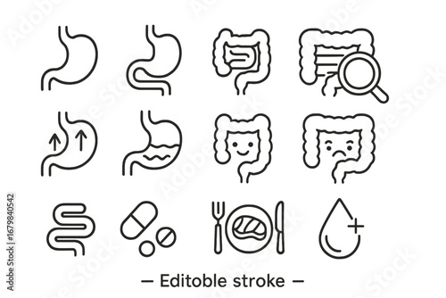 Digestion and intestine line icon set. Stomach, gut, digestive tract health symbols. Medical icons for gastroenterology, heartburn, pain, good and bad bacteria. Editable stroke.