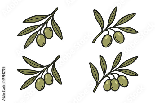 Set of olive branch vector illustrations. Green olives with leaves logo design elements. Healthy mediterranean food icon collection for package, cosmetic or olive oil.
