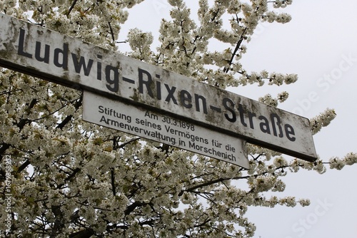 Street sign of Ludwig-Rixen-Strasse in front of cherry blossoms in Bürgewald (Morschenich-Alt), NRW, Germany in May 01, 2013