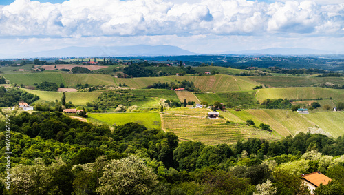 Photos Beautiful rural countryside of vineyards and agricultural surfaces on sloped hil