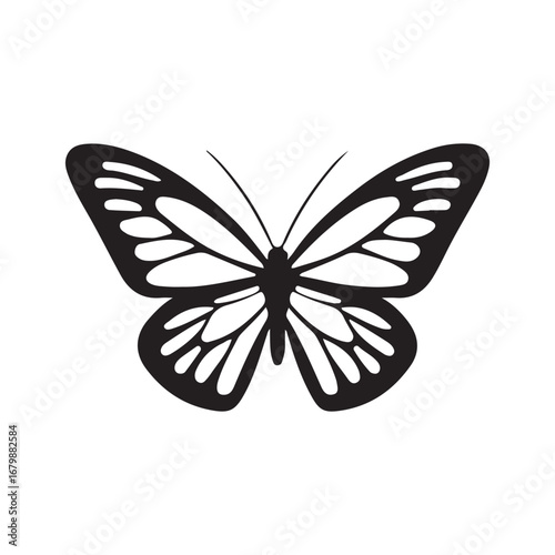 Black silhouette of a butterfly with open wings and intricate patterns insect black and white