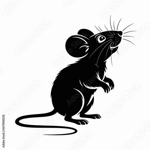 Cute black mouse standing on hind legs looking up