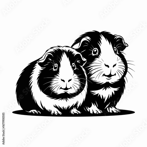 Two adorable guinea pigs in a charming black and white illustration