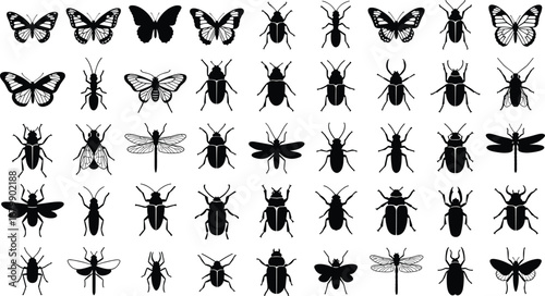 Insect silhouettes, butterflies, beetles, dragonflies, flies, black vector set, entomology reference, isolated design, nature icon collection, bug shapes, winged insect illustration