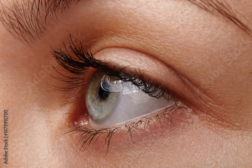 Side angle macro of female eye with natural makeup, light iris and well-groomed brow. Ideal for beauty, vision care, health, cosmetics and dermatology campaigns
