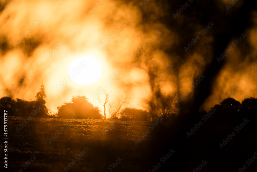 Fototapeta premium amanecer