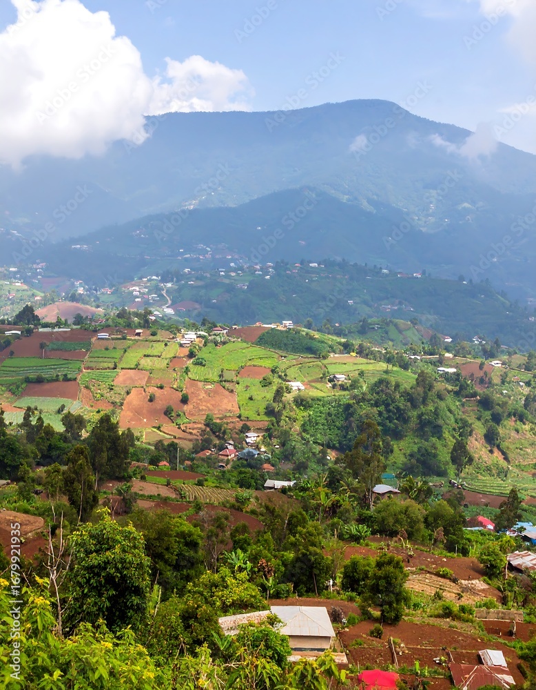 Fototapeta premium Mountainous landscape with terraced fields