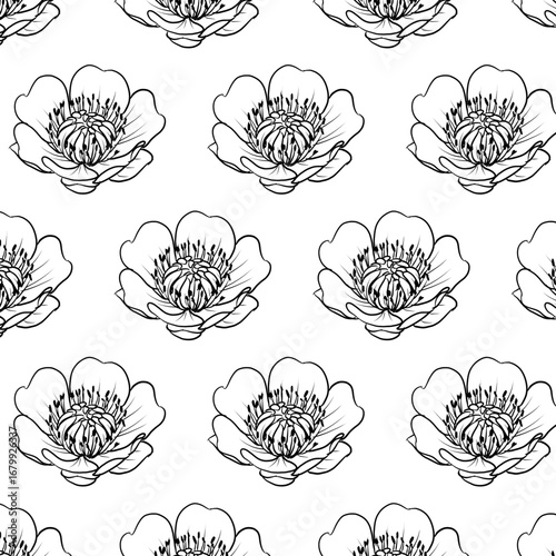 Cloudberry or Rubus chamaemorus flower Seamless Pattern Hand drawn vector line art, Black and White Flower isolated in white. Beautiful design for textile, wallpaper, wrapping paper