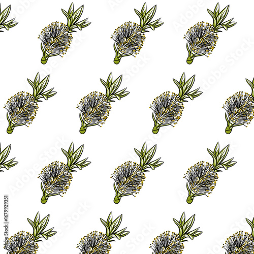 Arctic Willow or Salix arctica flower Seamless Pattern Hand drawn vector line art, Black and Yellow Flower isolated in white. Beautiful design for textile, wallpaper, wrapping paper