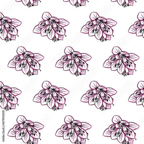 Winter Heath or Erica carnea flower Seamless Pattern Hand drawn vector line art, Black and Pink Flower isolated in white. Beautiful design for textile, wallpaper, wrapping paper