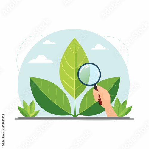 Hand Examining Plant Leaves With Magnifying Glass