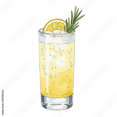 Hand-drawn illustration of a refreshing lemon and rosemary cocktail. Fizzy summer drink in a highball glass with ice, isolated on a white background.