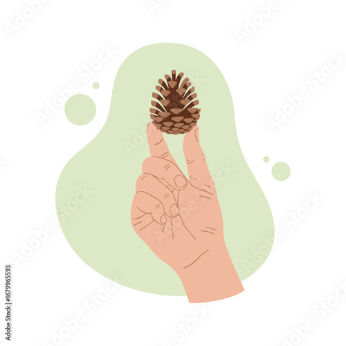 Hand holding a small pinecone. Flat vector illustration of a person with a natural forest element. Autumn or winter seasonal concept.