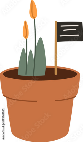Farmer or gardener flowers growing in pot for floral plantation, vector cartoon icon. Farm tulip seedlings and flowers in flowerpot for floriculture or greenhouse agriculture and agrarian garden