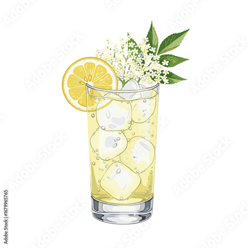 Refreshing elderflower and lemon cocktail in a glass with ice. Summer drink illustration isolated on a white background.