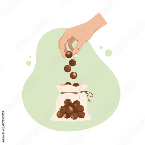 Hand putting chocolate balls into a small cloth bag. Vector illustration of collecting sweet treats or candies.