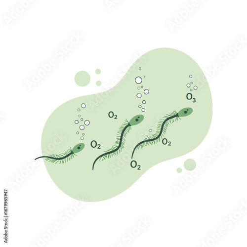 Illustration of primitive microorganisms producing oxygen and ozone. Scientific diagram showing early life and the formation of the ozone layer. Cartoon algae releasing bubbles in water.